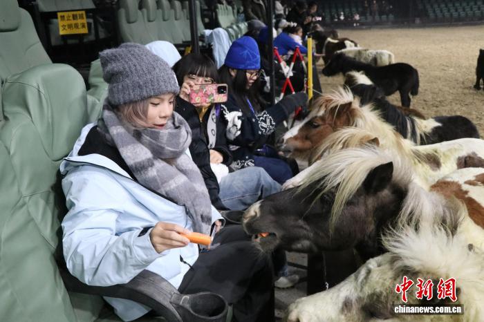 Online Casino：台灣青年烏魯木齊賞馬