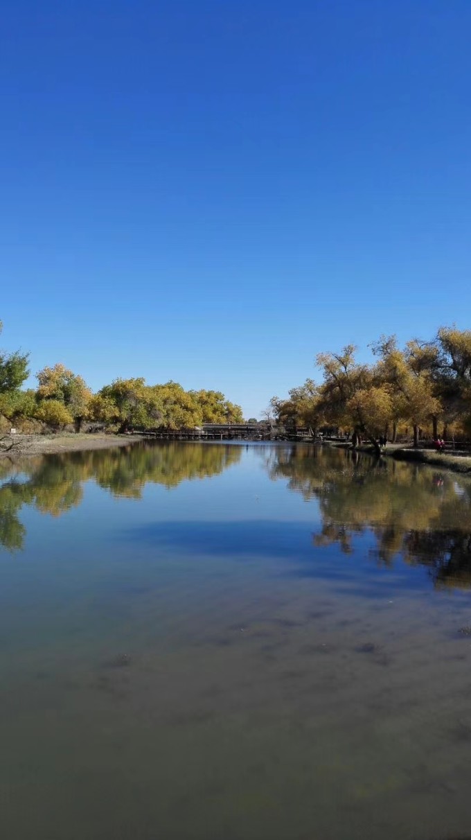 {賭波}(额济纳旗旅游局电话)