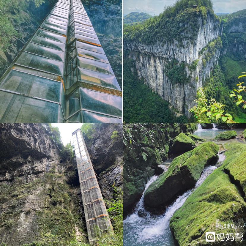 {賭馬}(武隆仙女山游玩攻略)