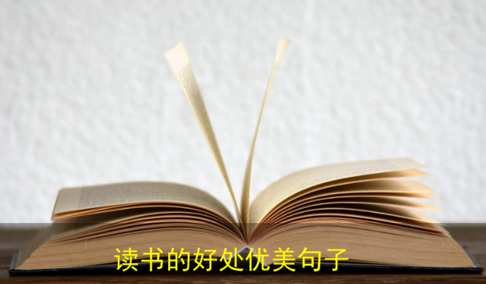 {賭波}(形容教育的优美短句英语)