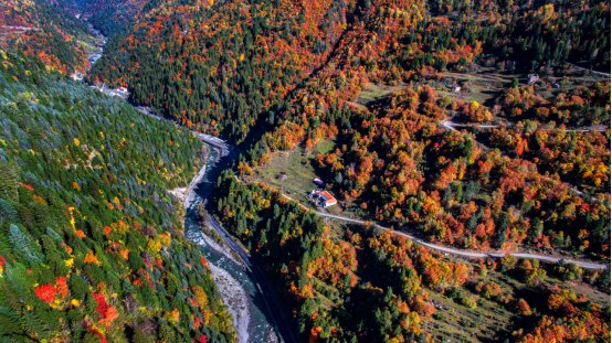 {百家樂}(阿坝旅游官网订票)